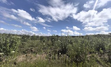 TERRENO EN VENTA EN TLAXCALA