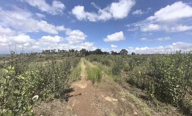 TERRENO EN VENTA EN TLAXCALA
