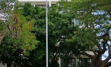 Departamento en Renta en Col. Campestre, Mérida.