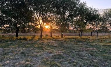 Terreno en venta - 763Mts2 - Del Viso