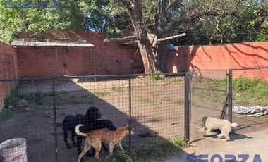 Casa - Jose Clemente Paz