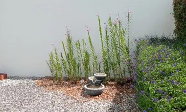 Casa en Arriendo en La Ceja