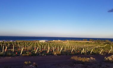 Casa en  venta 2 dormitorios vista al lago Mari Menuco, barrio La Peninsula