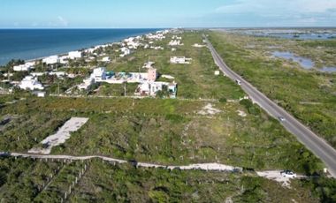 Venta Terreno en San Benito Yucatan km 22