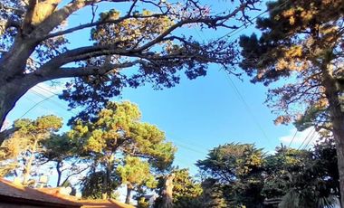 Departamento en venta - 2 Dormitorios 1 Baño - San Bernardo