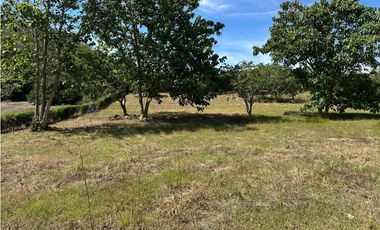 VENTA LOTE TARSO, - SUROESTE ANTIOQUEÑO