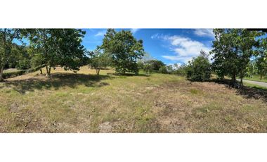 VENTA LOTE TARSO, - SUROESTE ANTIOQUEÑO