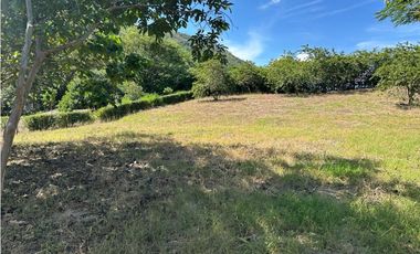 VENTA LOTE TARSO, - SUROESTE ANTIOQUEÑO