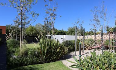PENTHOUSE EN RENTA EN TORRE ARTEMA, ZONA ANGELÓPOLIS