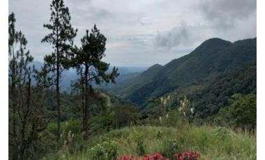 VENTA Y ALQUILER CASA  ALTOS DEL MARIA 1359M2 CON TERRAZA Y PISCINA CV