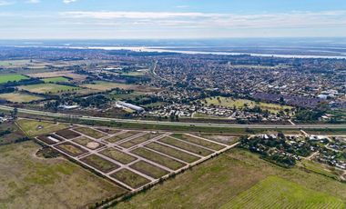 Lotes en Gran Hábitat - Ibarlucea