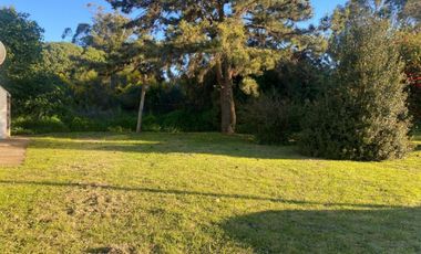 VENTA. Casa 3 ambientes con dependencia y gran parque en MAR DEL SUD