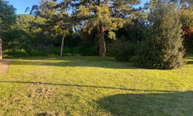 VENTA. Casa 3 ambientes con dependencia y gran parque en MAR DEL SUD