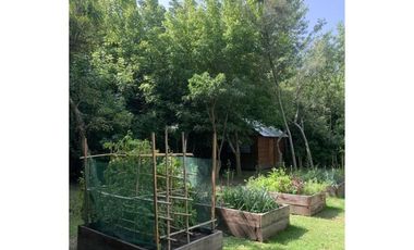 ALQUILER - 2 amb. + cochera - AMOBLADO