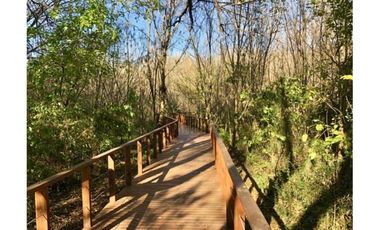 ALQUILER - 2 amb. + cochera - AMOBLADO