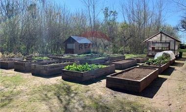 ALQUILER - 2 amb. + cochera - AMOBLADO