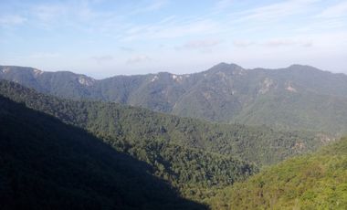 Fundo de 508 Hectàreas app, en Alto Pejerrey