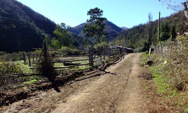 Fundo de 508 Hectàreas app, en Alto Pejerrey