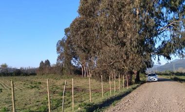 Lindas Parcelas , ubicadas entre Panimàvida y Colbùn