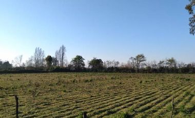 Lindas Parcelas , ubicadas entre Panimàvida y Colbùn