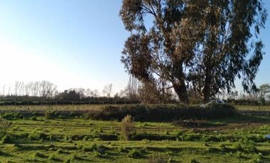 Lindas Parcelas , ubicadas entre Panimàvida y Colbùn