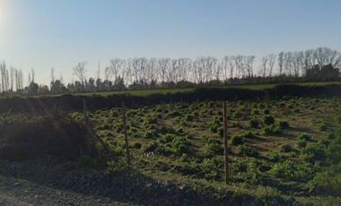 Lindas Parcelas , ubicadas entre Panimàvida y Colbùn