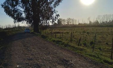 Lindas Parcelas , ubicadas entre Panimàvida y Colbùn