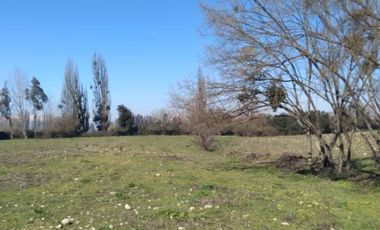 Se venden Parcelas, en camino a Yerbas Buenas a sòlo 4,9 Kms