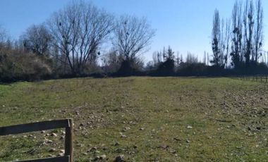 Se venden Parcelas, en camino a Yerbas Buenas a sòlo 4,9 Kms