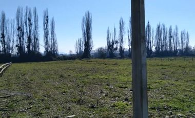 Se venden Parcelas, en camino a Yerbas Buenas a sòlo 4,9 Kms