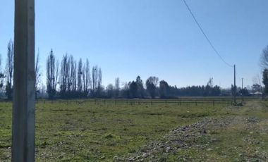 Se venden Parcelas, en camino a Yerbas Buenas a sòlo 4,9 Kms