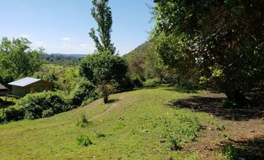 Parcela de 63 Hectàr, sector Bazaes a orilla carretera L-11