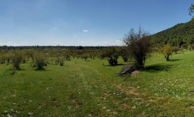 Parcela de 63 Hectàr, sector Bazaes a orilla carretera L-11