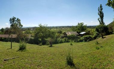 Parcela de 63 Hectàr, sector Bazaes a orilla carretera L-11
