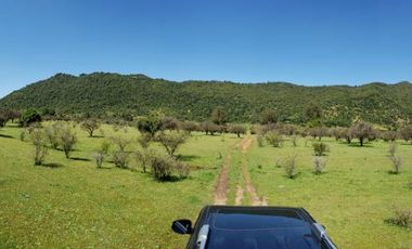 Parcela de 63 Hectàr, sector Bazaes a orilla carretera L-11