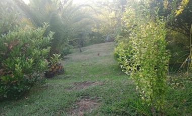 Casa en Parcela de 5.000.- Mts2 en Sector Rabones