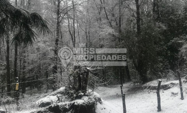 SE VENDEN TERRENOS EN SECTOR LAS LUMAS, CHILLAN