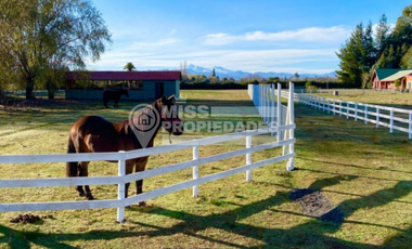 SE VENDE CAMPO CON CASA PATRONAL REGIÓN DE ÑUBLE