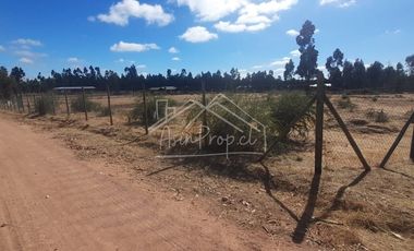 Parcela en venta de 5000m2 ubicado en Litueche