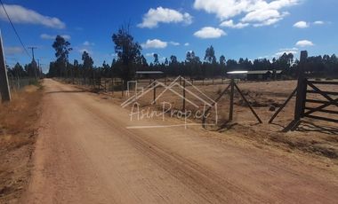Parcela en venta de 5000m2 ubicado en Litueche