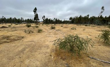 Parcela en venta de 5000m2 ubicado en Litueche