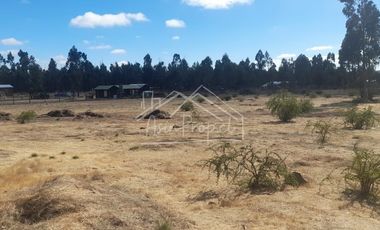 Parcela en venta de 5000m2 ubicado en Litueche