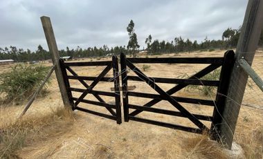 Parcela en venta de 5000m2 ubicado en Litueche