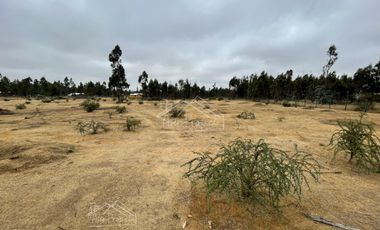Parcela en venta de 5000m2 ubicado en Litueche