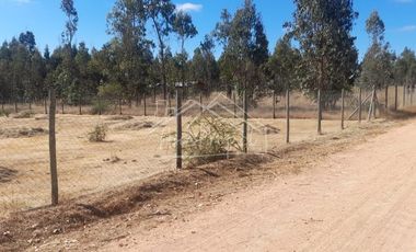 Parcela en venta de 5000m2 ubicado en Litueche