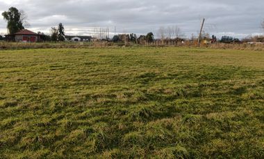 HERMOSA PARCELA A 12 MINUTOS DE OSORNO