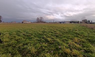 HERMOSA PARCELA A 12 MINUTOS DE OSORNO