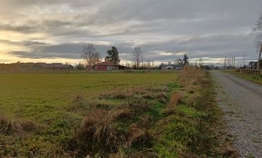 HERMOSA PARCELA A 12 MINUTOS DE OSORNO