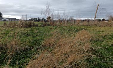 HERMOSA PARCELA A 12 MINUTOS DE OSORNO