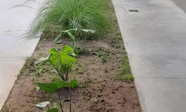 Departamento en venta - 1 Dormitorio 1 Baño - Wilde